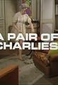A Pair of Charlies's primary photo