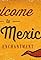 Fallout: Nuevo México's primary photo
