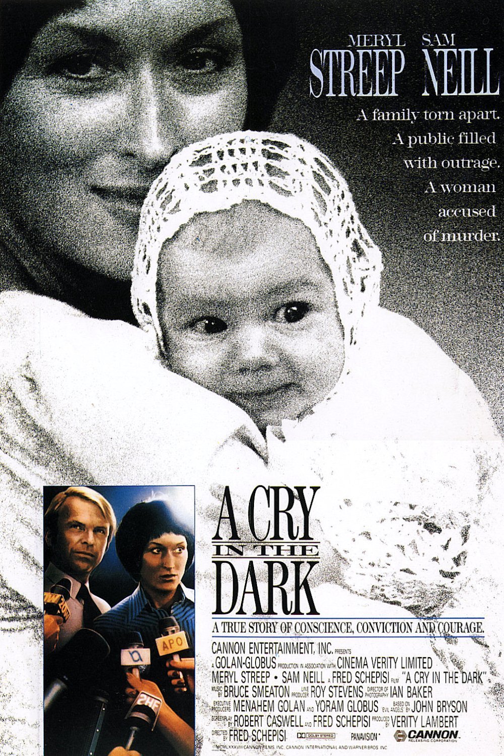 Poster of A Cry in the Dark