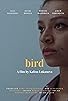 Primary photo for Bird Primary photo for Bird