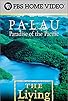 Primary photo for Palau: Paradise of the Pacific