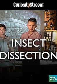 Primary photo for Insect Dissection: How Insects Work
