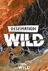 Primary photo for Destination Wild Primary photo for Destination Wild