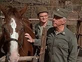 M*A*S*H" Con Ngựa Của Đại Tá (Tập phim truyền hình năm 1976) - IMDb