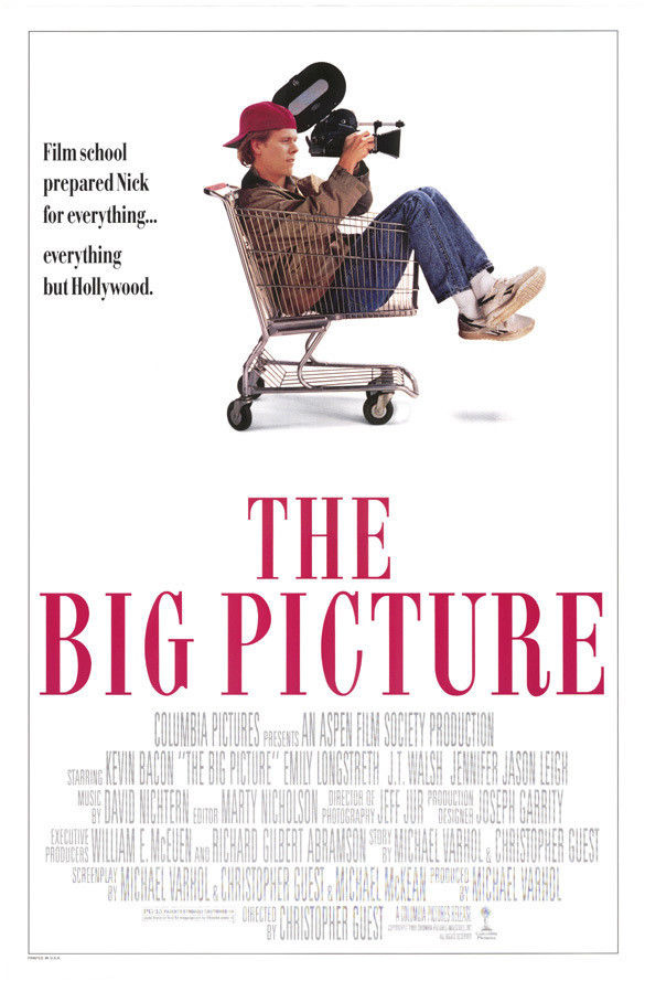 Poster of The Big Picture