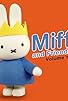 Primary photo for Miffy and the Little Bird/Miffy Plays Hide and Seek