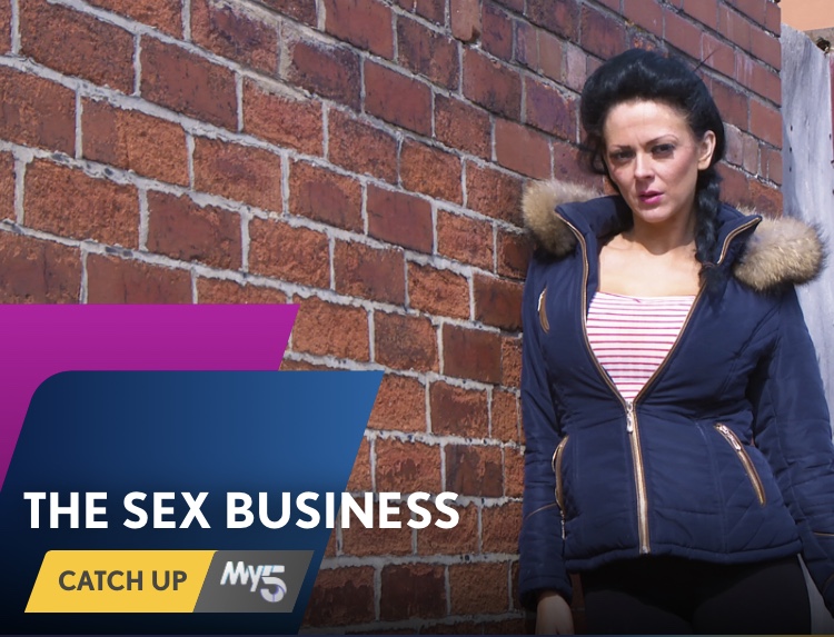 Poster of The Sex Business