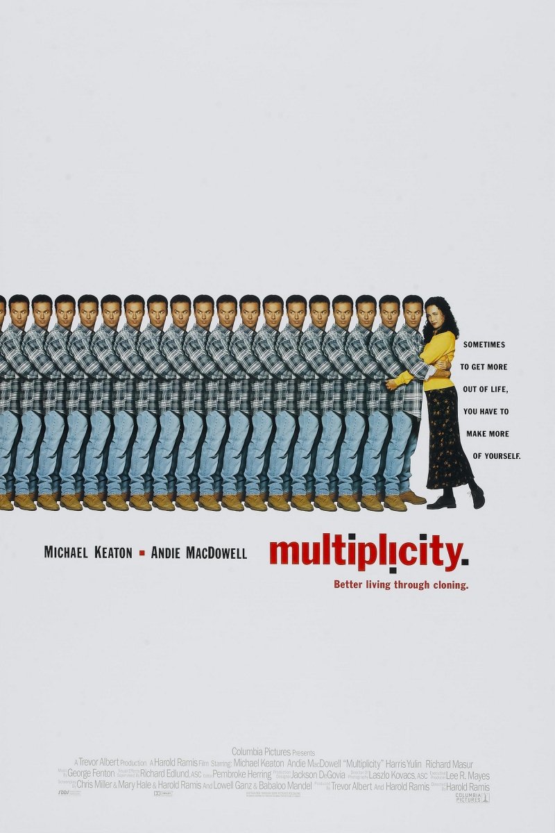 Poster of Multiplicity