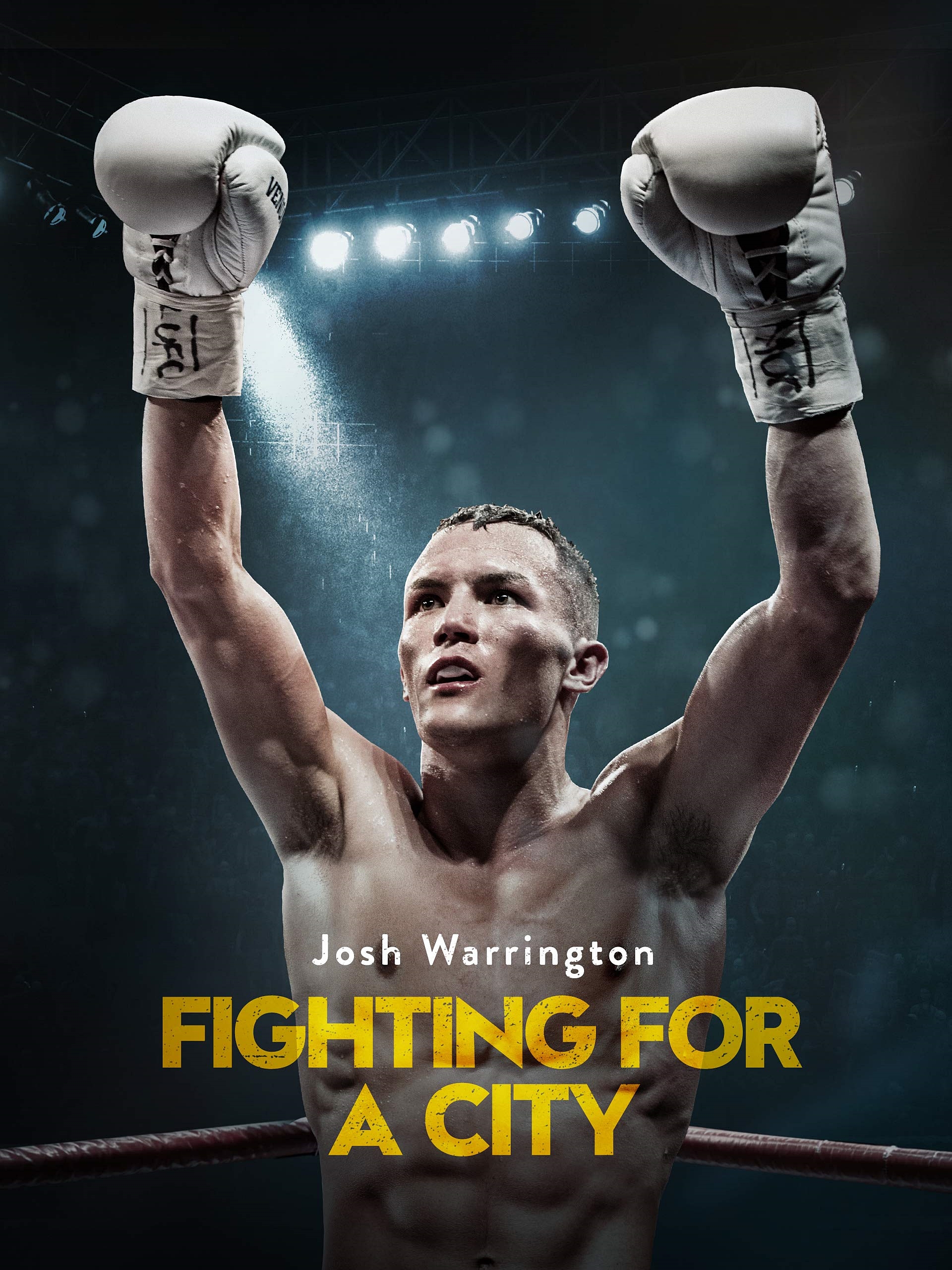 Poster of Fighting For A City