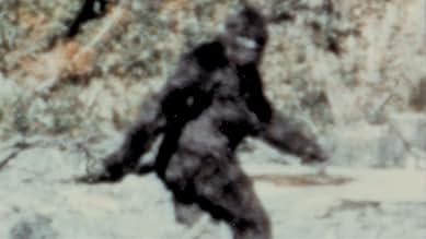 Patterson-Gimlin Film (Short 1967) - IMDb