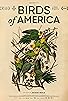 Primary photo for Birds of America Primary photo for Birds of America