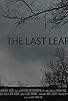 Primary photo for The Last Leaf Primary photo for The Last Leaf