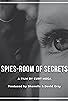 Primary photo for Spies: Room of Secrets Primary photo for Spies: Room of Secrets