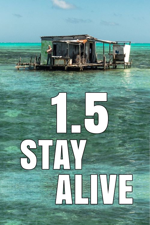 その他 1.5 Stay Alive: Science Meets Music [DVD] 1.5 Stay Alive - Science Meets Music in the Caribbean