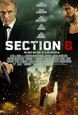 Poster of Section 8 (2022)