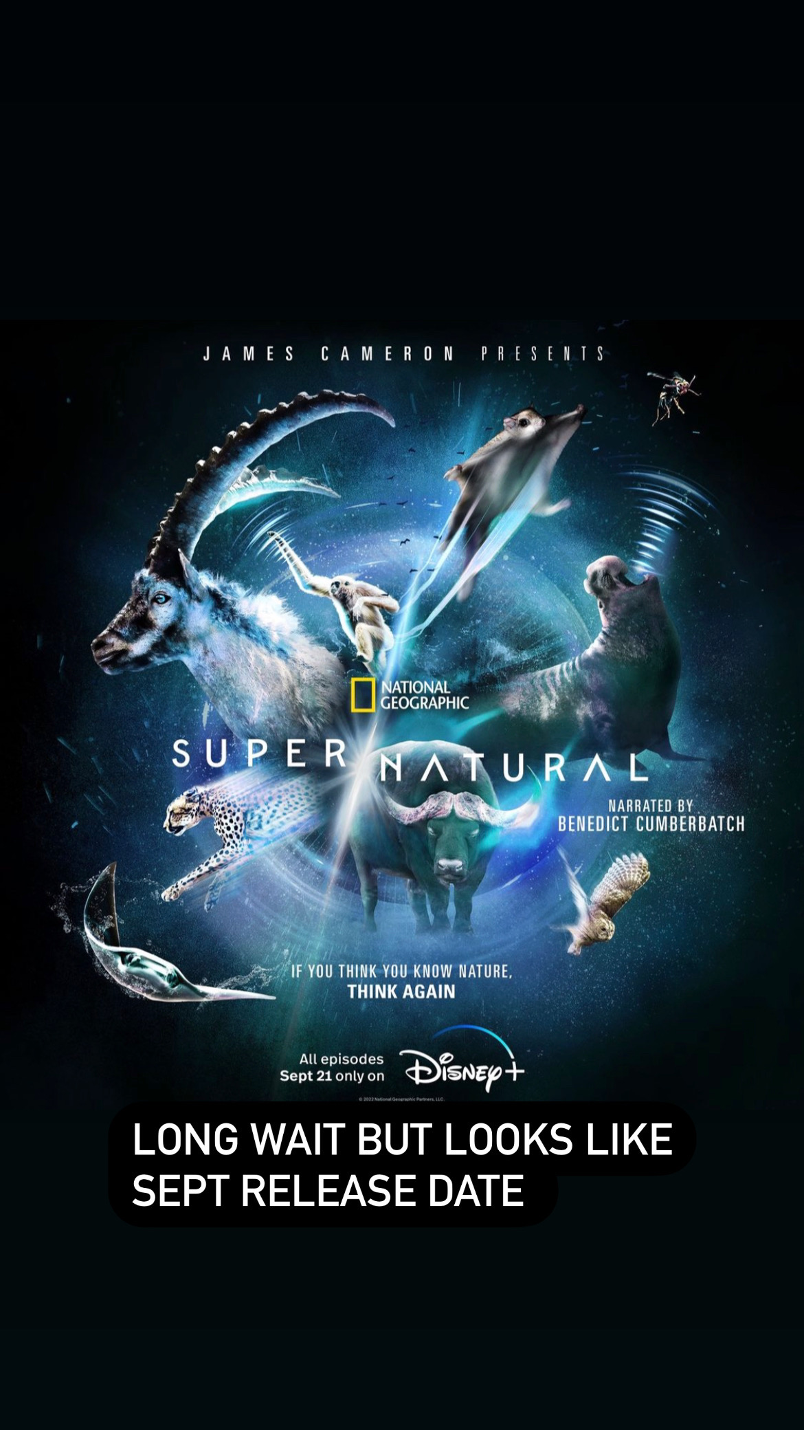 Poster of Super/natural