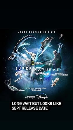 Poster of Super/natural