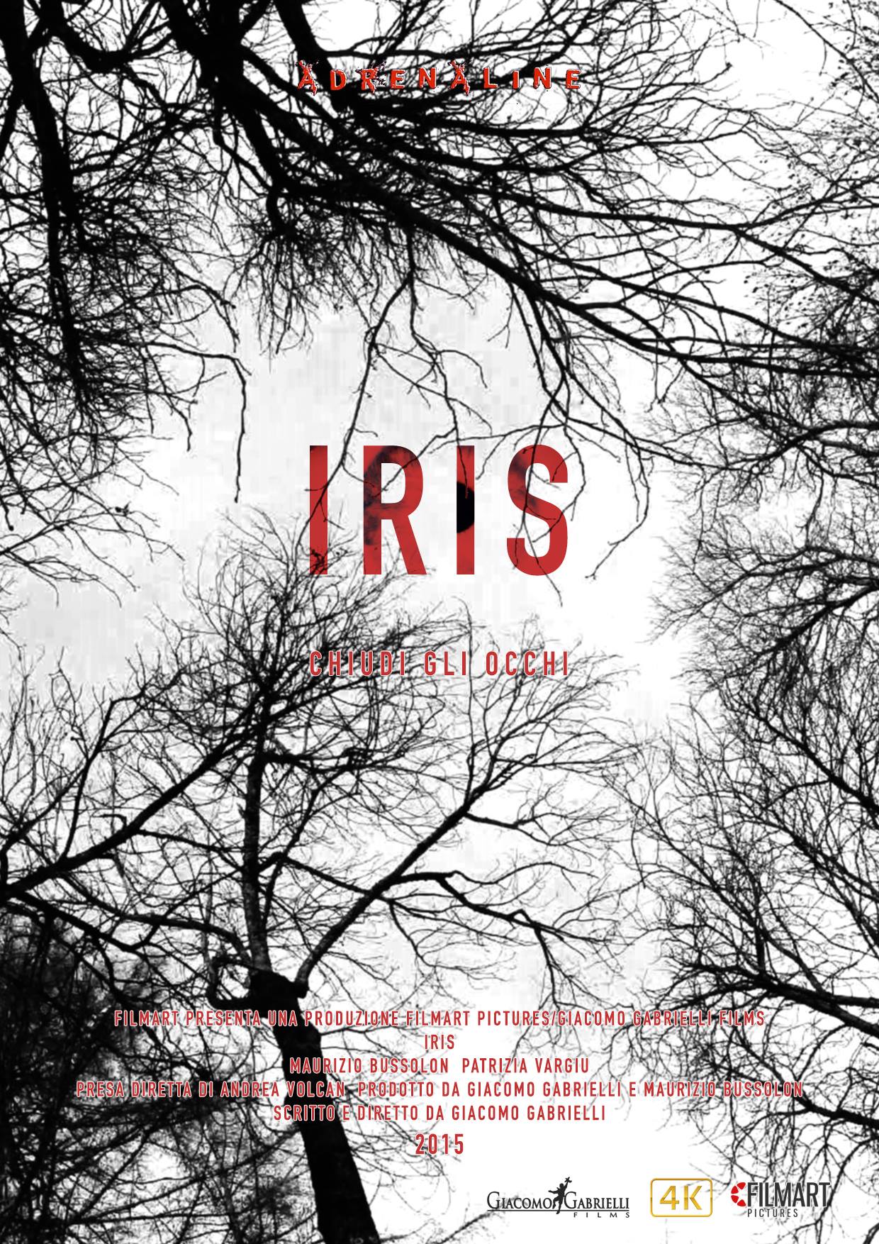 Poster of Iris 2015