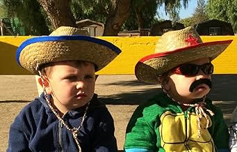 पोस्टर देखें