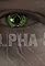 Alpha 5's primary photo