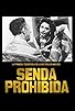 Primary photo for Senda prohibida Primary photo for Senda prohibida