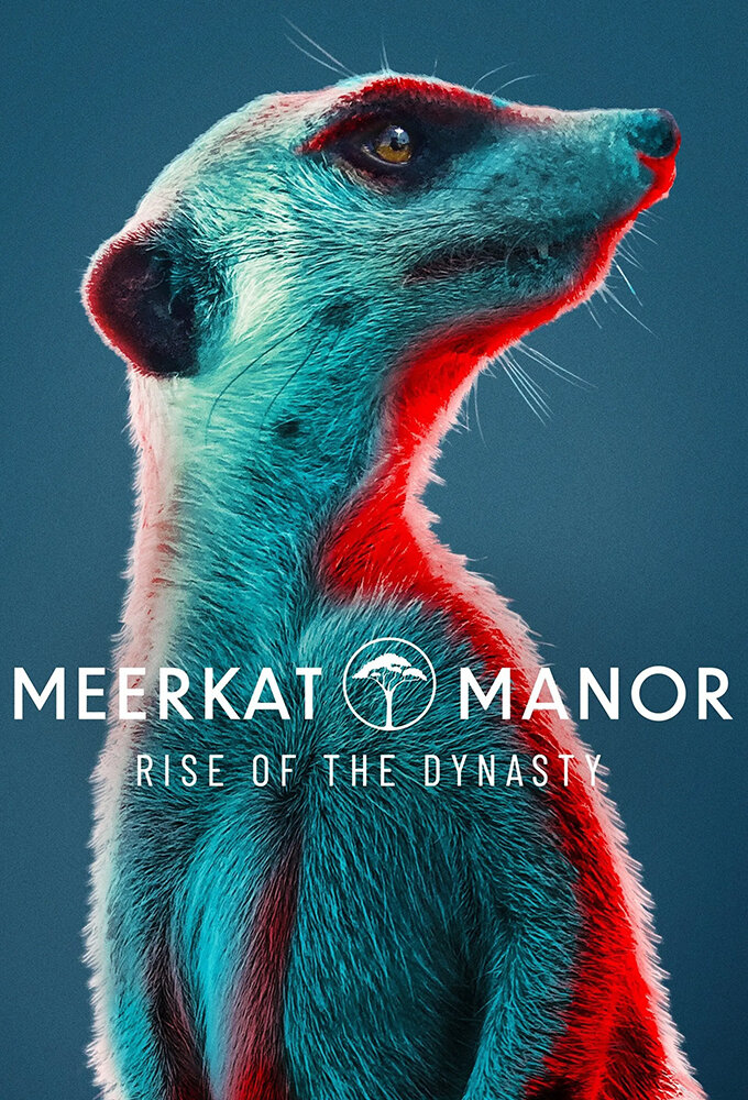 Poster of Meerkat Manor: Rise Of The Dynasty