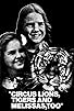 Primary photo for Circus, Lions, Tigers and Melissas Too Primary photo for Circus, Lions, Tigers and Melissas Too