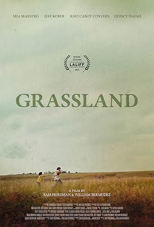 Grassland (2024) Grassland (2024)
