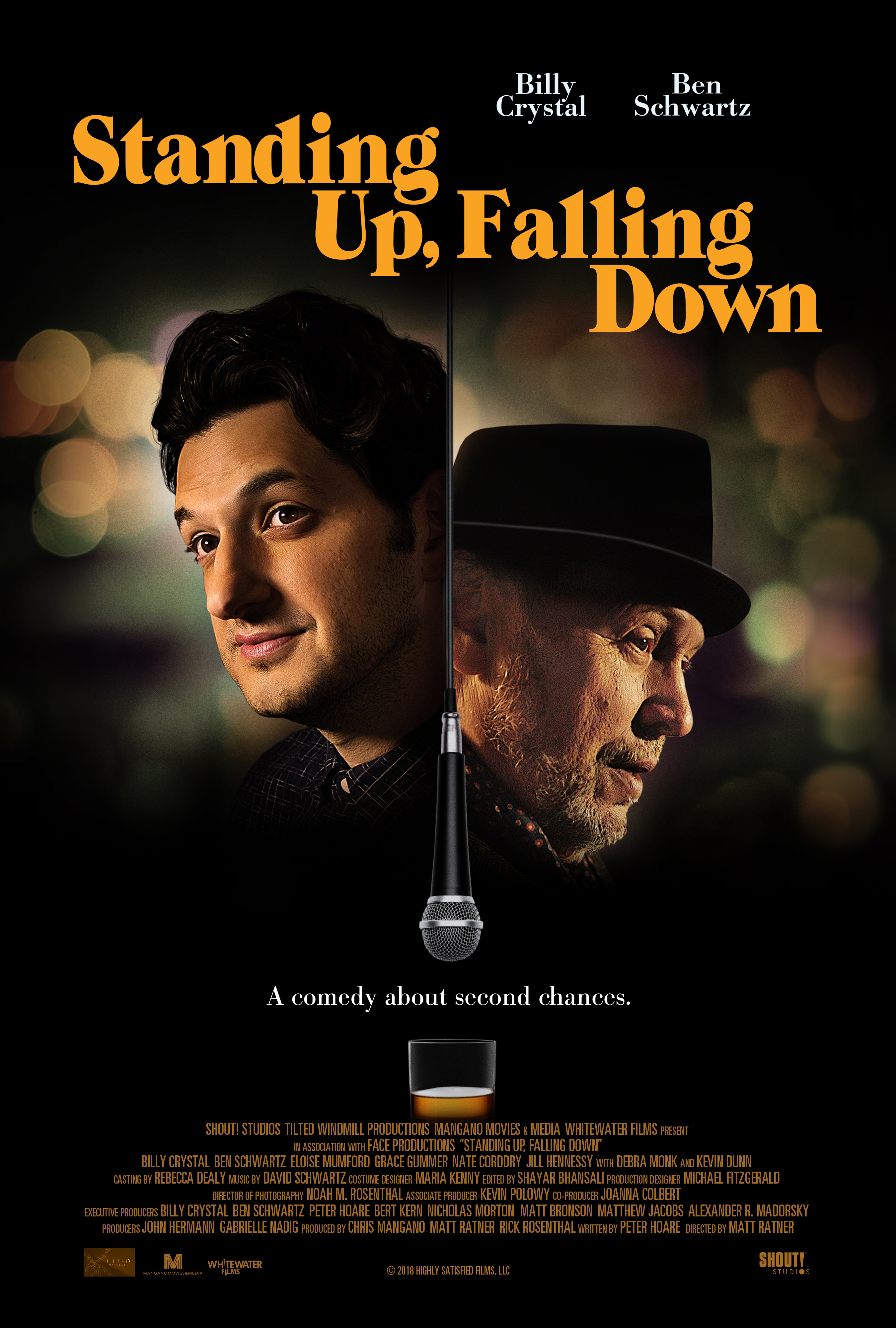 Poster of Standing Up, Falling Down