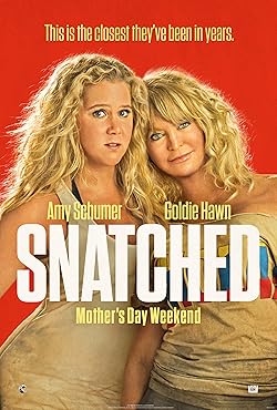 Poster of Snatched
