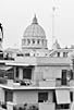 Primary photo for Bello di mamma tua Primary photo for Bello di mamma tua