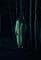 Haunted Cabin's primary photo