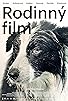 Primary photo for Family Film Primary photo for Family Film