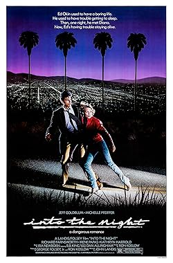 Poster of Into The Night
