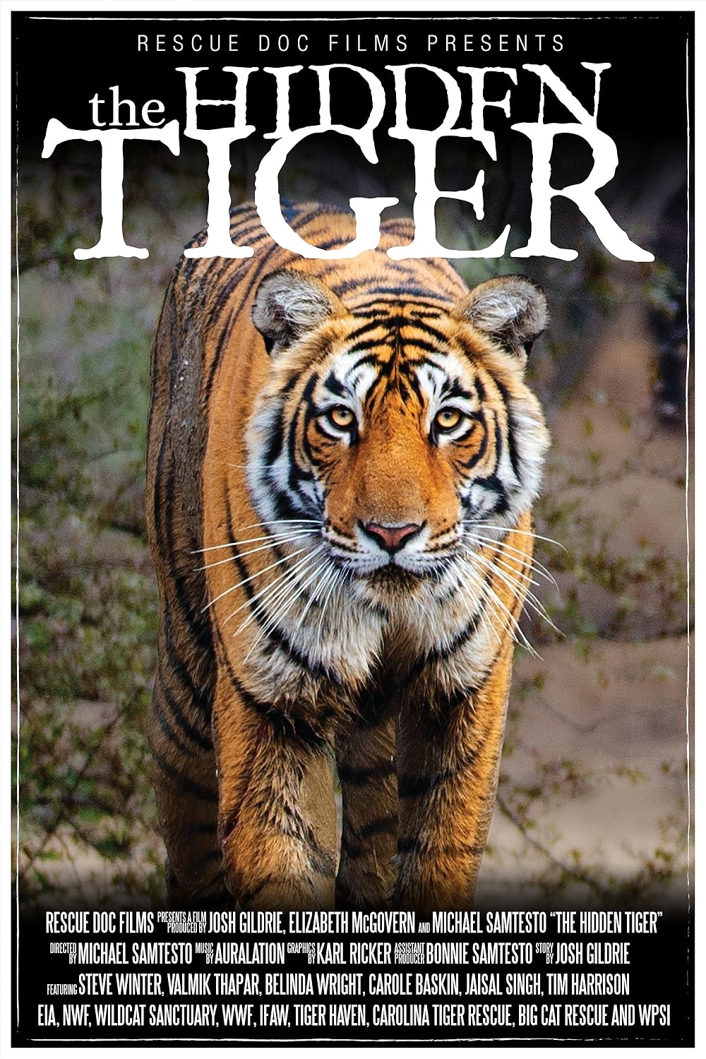(未使用･未開封品)Wildlife Survivors: Tiger [DVD] Wildlife Specials: Tiger [DVD]: Amazon.co.uk: Kate de Pury