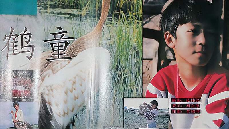 The Homebound Cranes