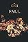 ESH: Fall's primary photo
