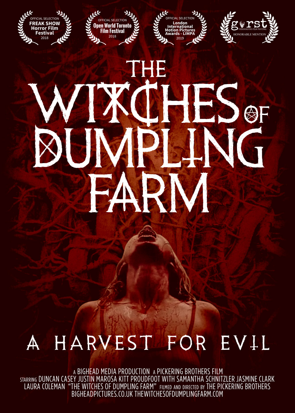Poster of The Witches of Dumpling Farm