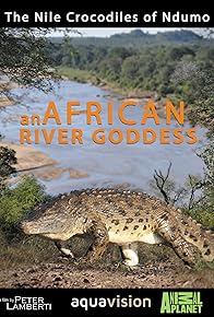 Primary photo for River Dragons of Ndumo