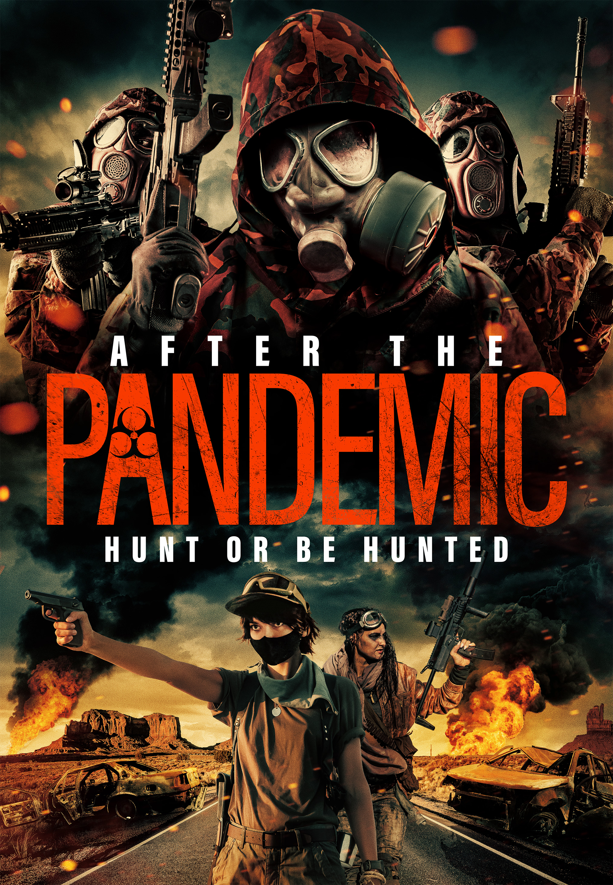 Poster of After the Pandemic