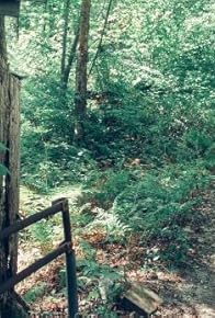 Primary photo for Bigfoot