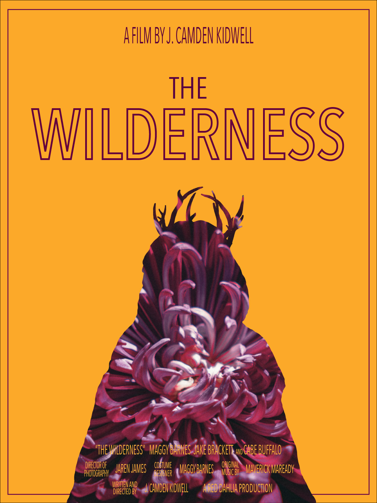The Wilderness