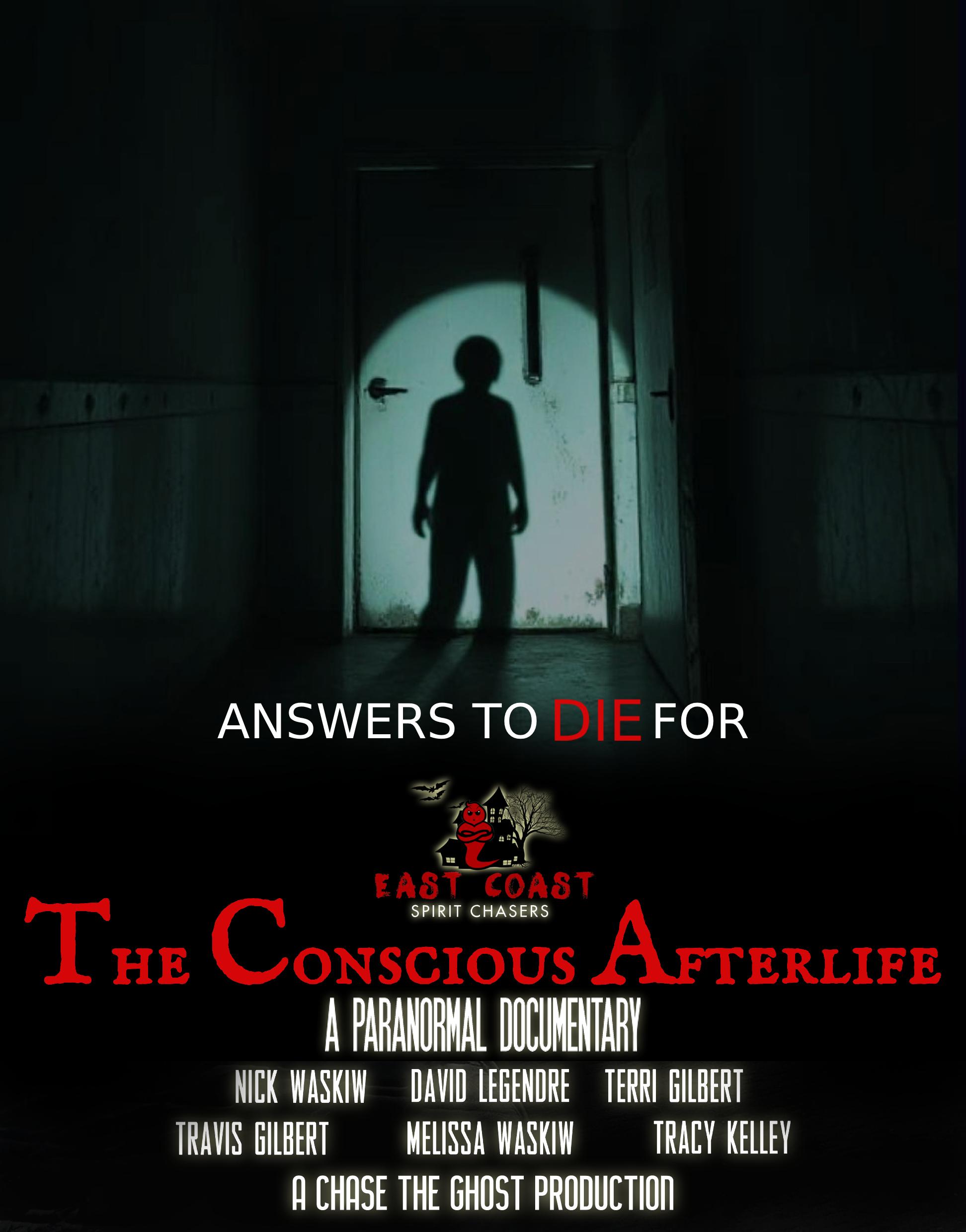 The Conscious Afterlife