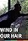 Wind in Our Hair's primary photo