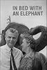 Primary photo for In Bed with an Elephant Primary photo for In Bed with an Elephant