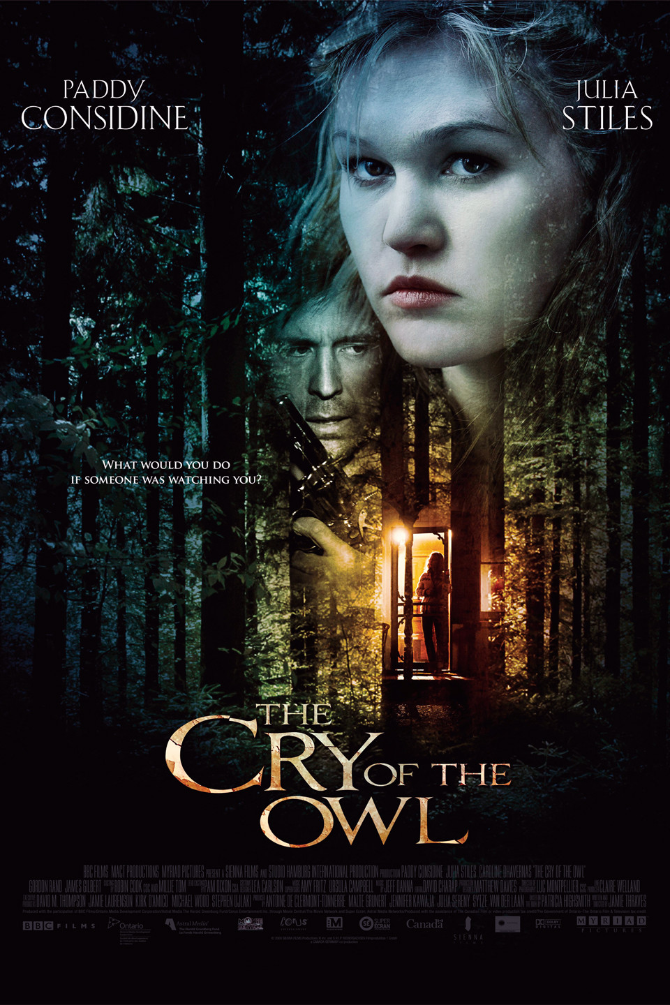 Poster of The Cry of the Owl
