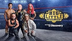 Poster of Big Little Brawlers