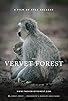 Primary photo for The Vervet Forest