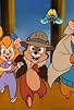 Primary photo for Rescue Rangers to the Rescue: Part 5 Primary photo for Rescue Rangers to the Rescue: Part 5
