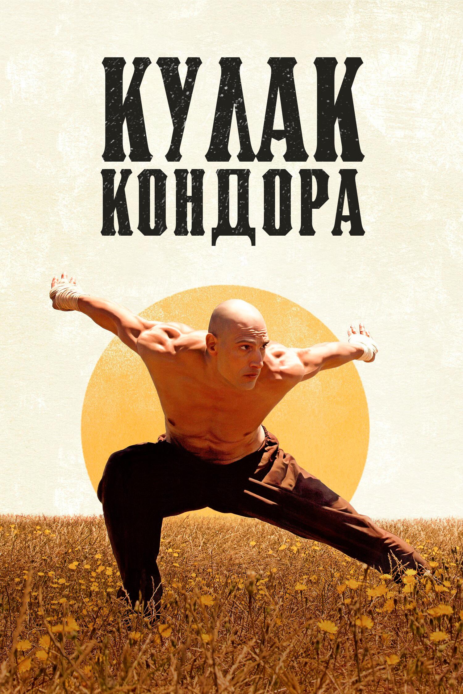 The Fist of the Condor poster